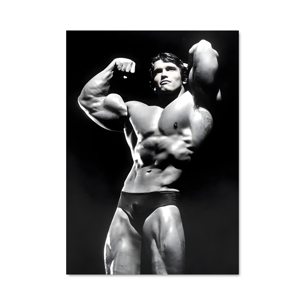 Poster Arnold classic